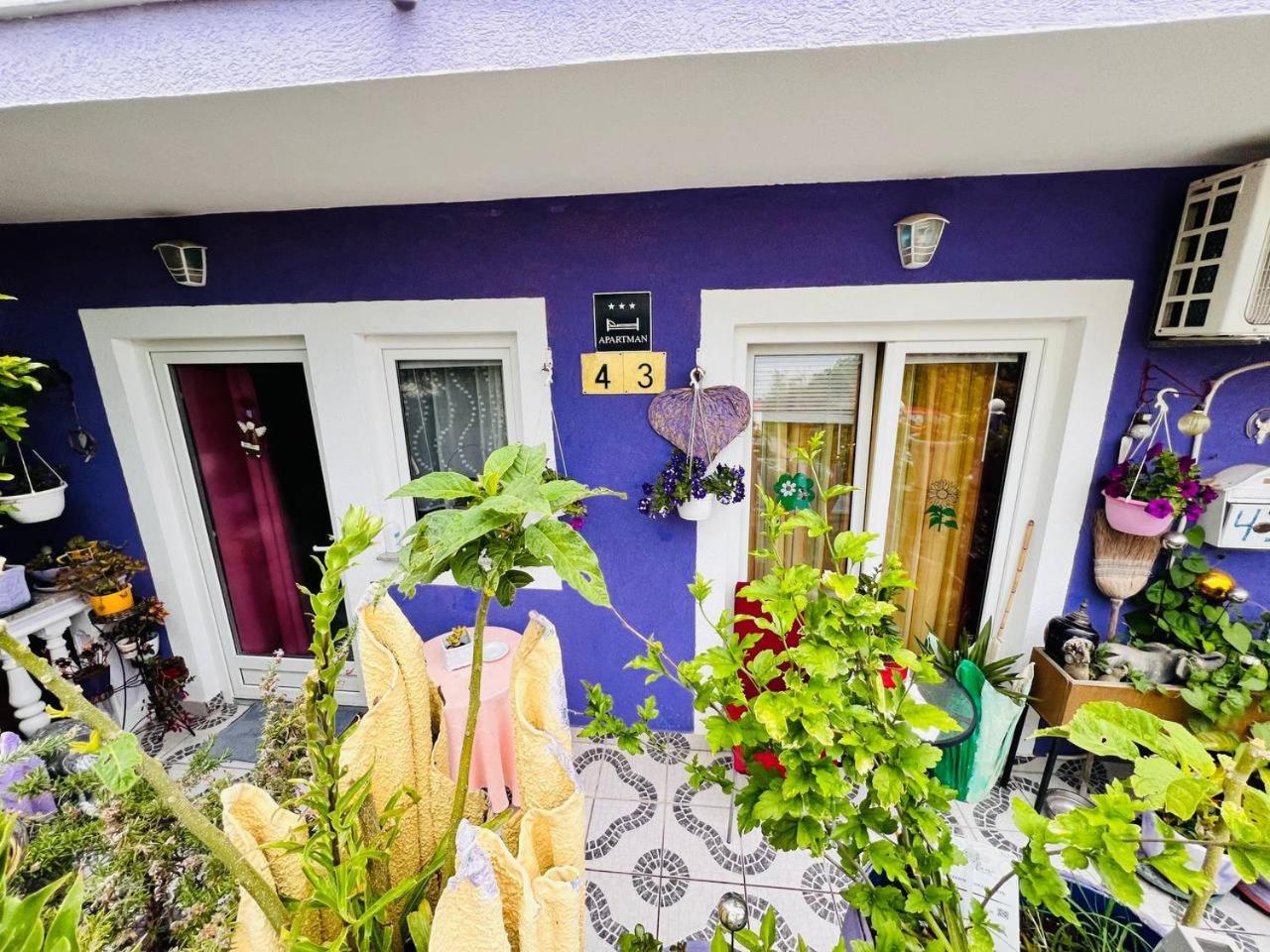 Mira Apartment Pula Exterior foto